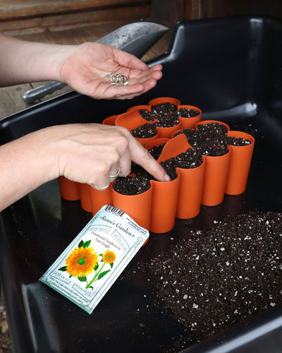 Easy Growing From Seed