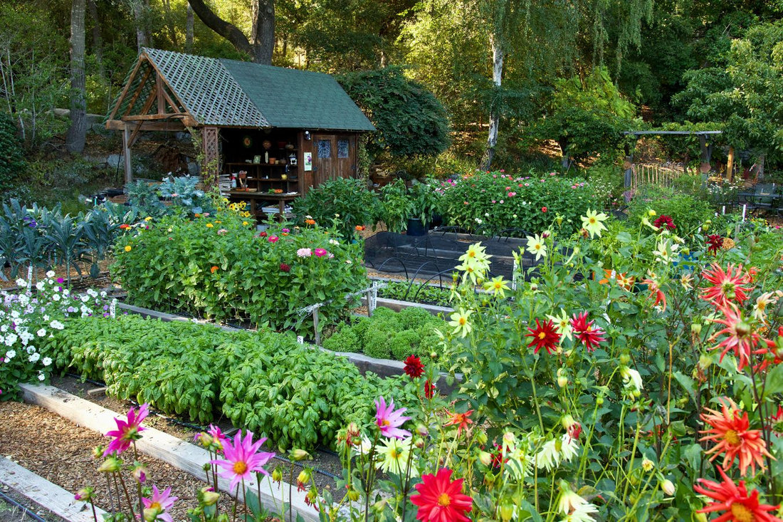 June and July Are Still Prime Planting Season