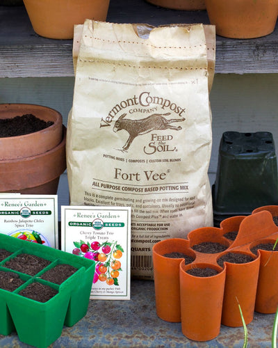 Starting Tomatoes From Seed