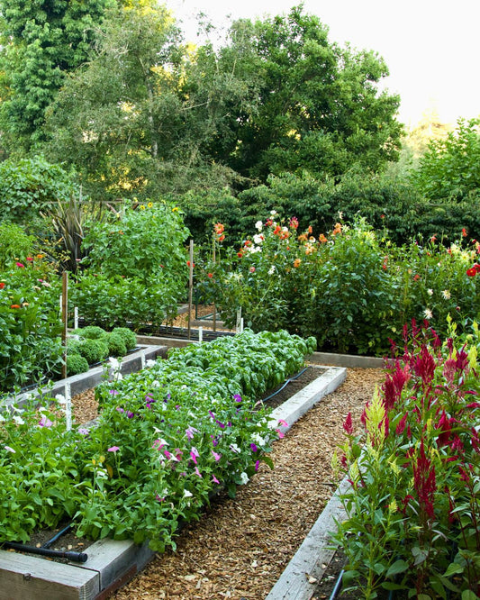 When to Plant Our Seeds