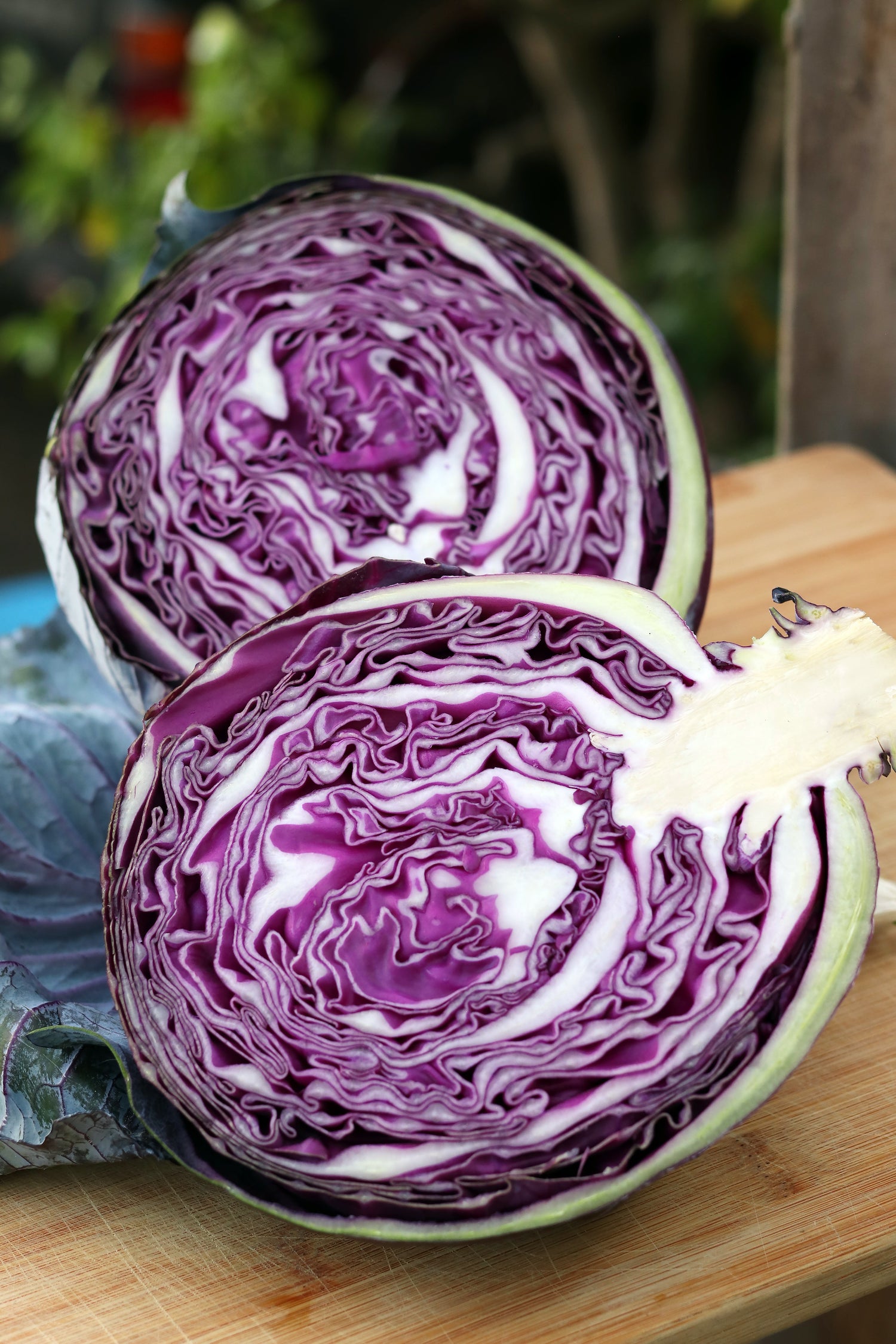 Brassicas