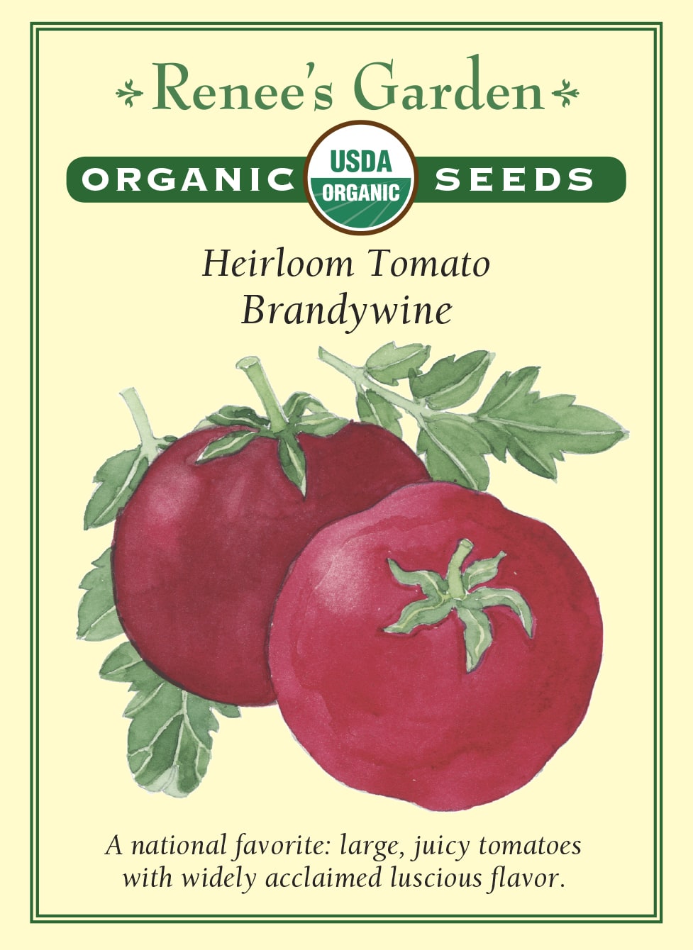 organic brandywine tomato plant 4.5 inch pot Renee's Garden Heirloom Tomato Brandywine Seeds