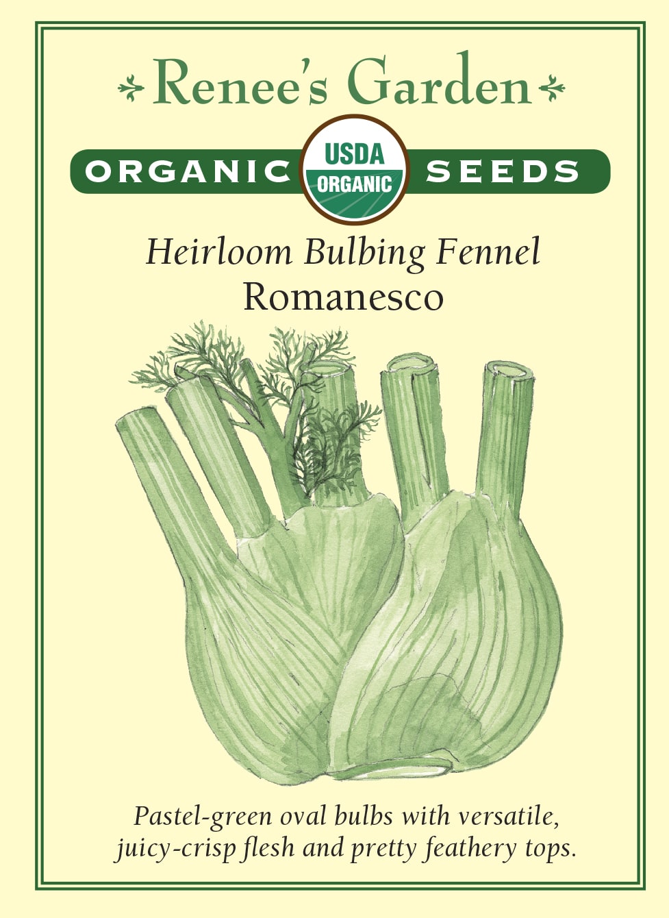 where to buy fennel seeds to plant 'Romanesco' Bulbing Fennel