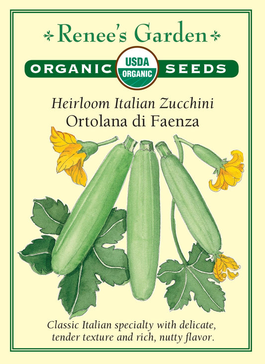 Ortolana di Faenza