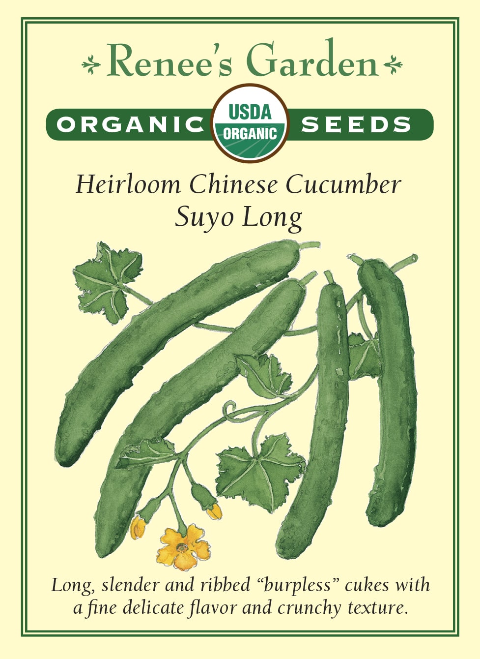 cucumber planting seeds 'Suyo Long' Heirloom Chinese Cucumber