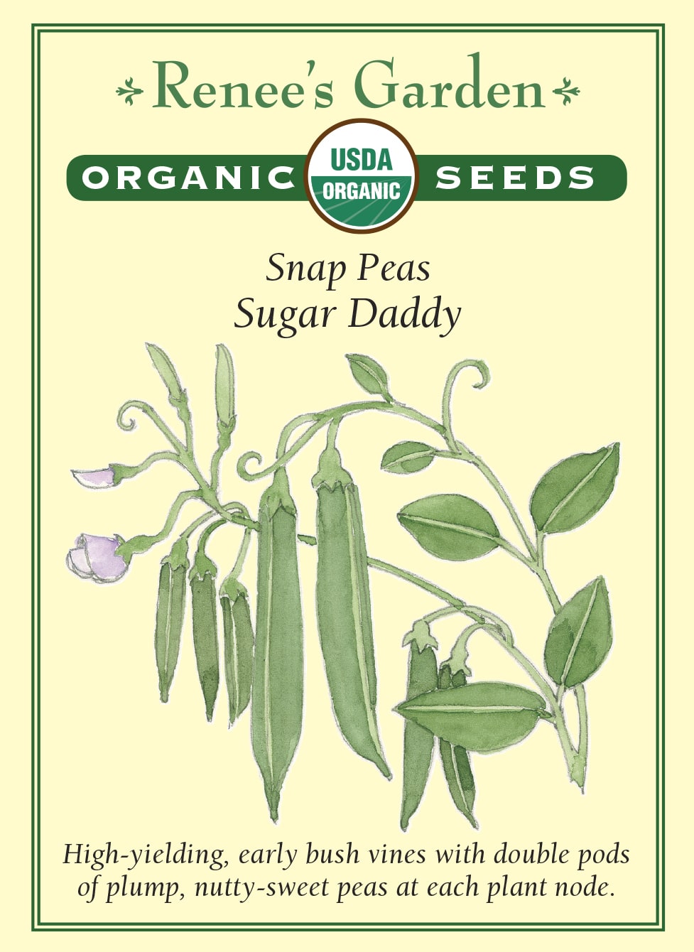 plant daddy seeds 'Sugar Daddy' Snap Peas