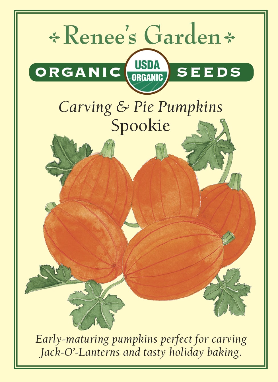 pie pumpkin seeds for planting 'Spookie' Pumpkin Seeds