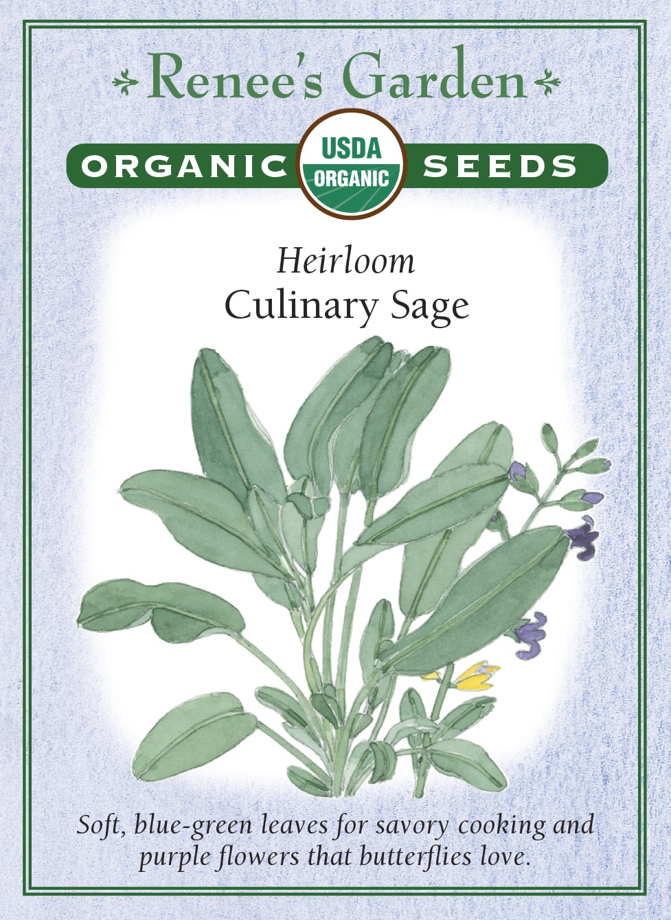 garden sage seeds 'Culinary Sage' Heirloom