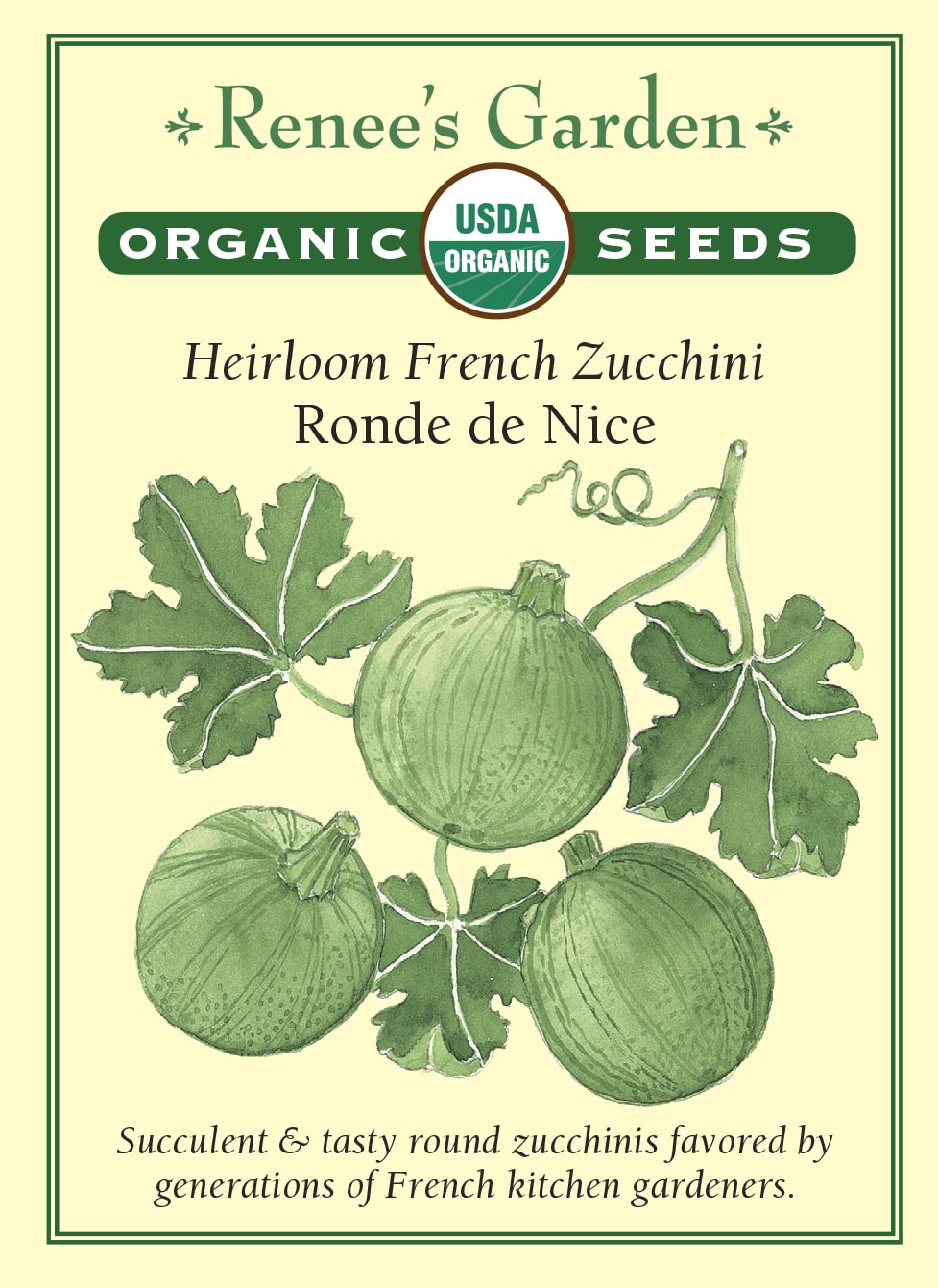 15+ Round Dark Green Zucchini Summer Squash Seeds Non-GMO #zucchiniseeds