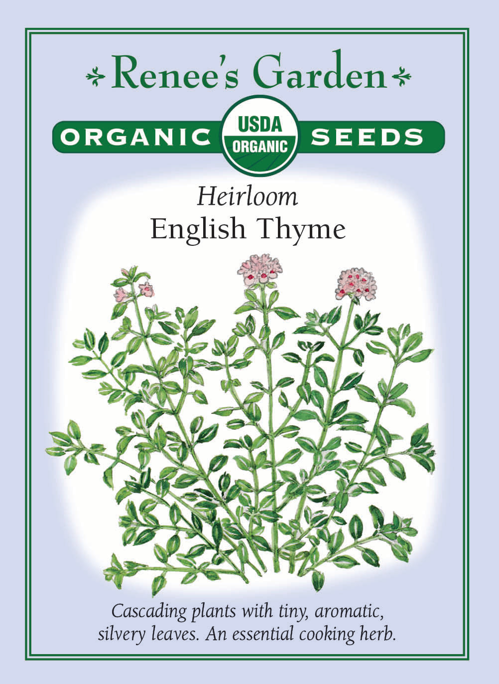 thyme plant seeds Renee's Garden Heirloom English Thyme Seeds