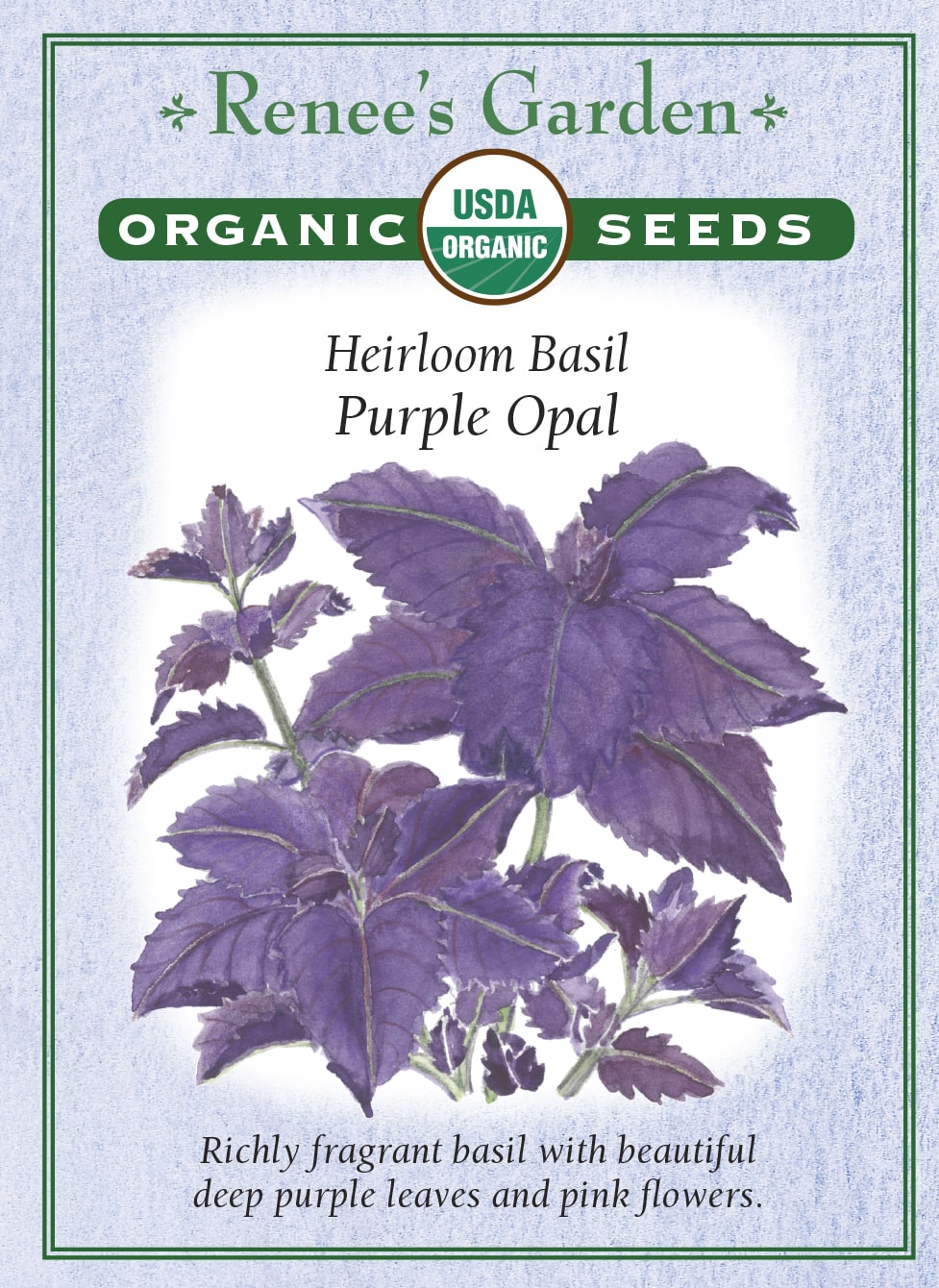 Semi Di Basilico Viola Purple Opal - 2g, Per Cucina E Giardino Ornamentale - Foto 4