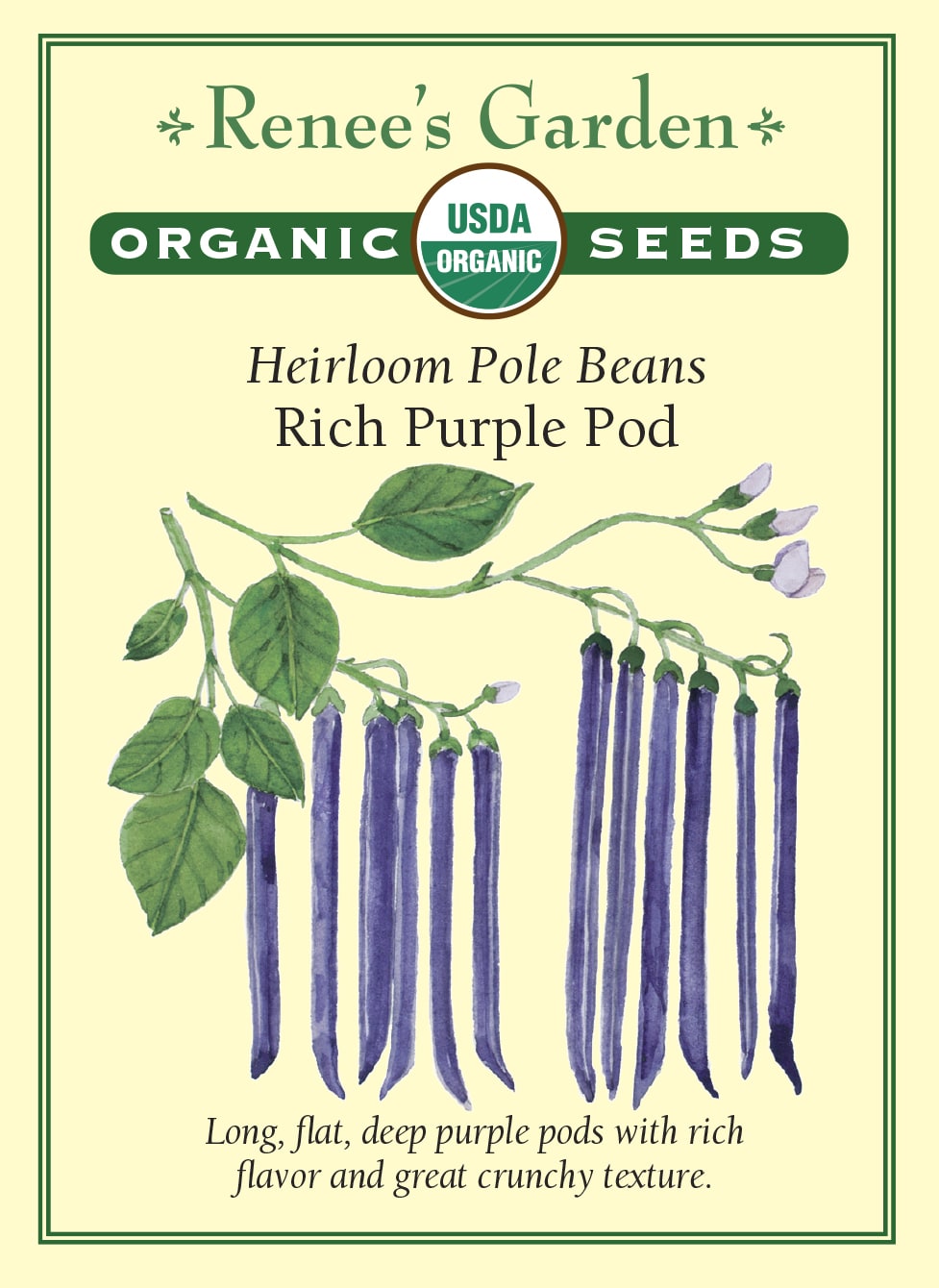 garden of eden pole bean seeds Renee's Garden Heirloom Pole Beans Rich Purple Pod Seeds