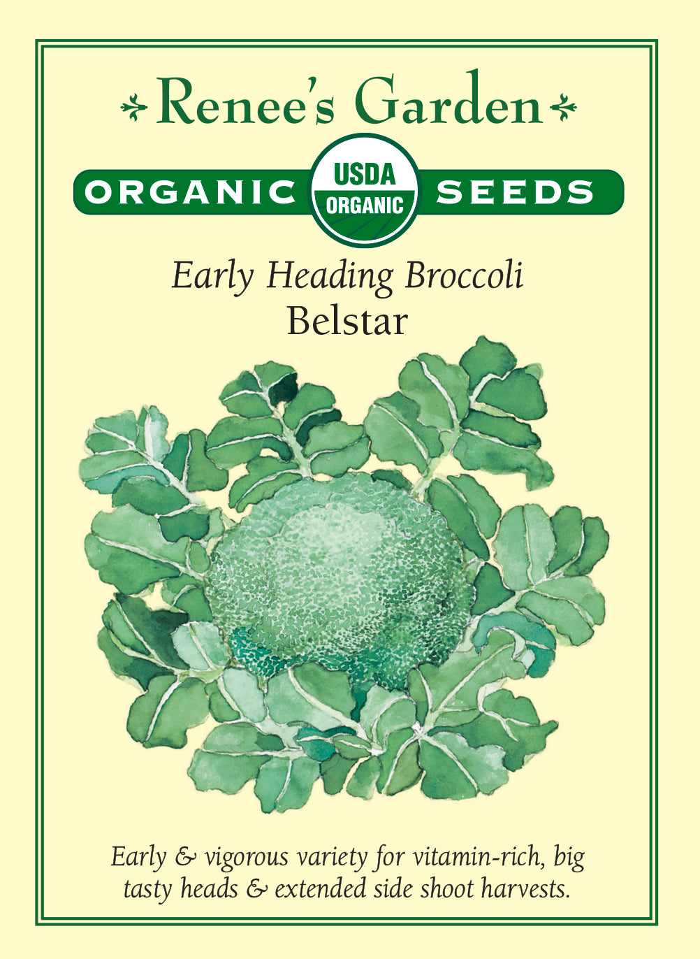Belstar' Early Heading Broccoli – Renee's Garden