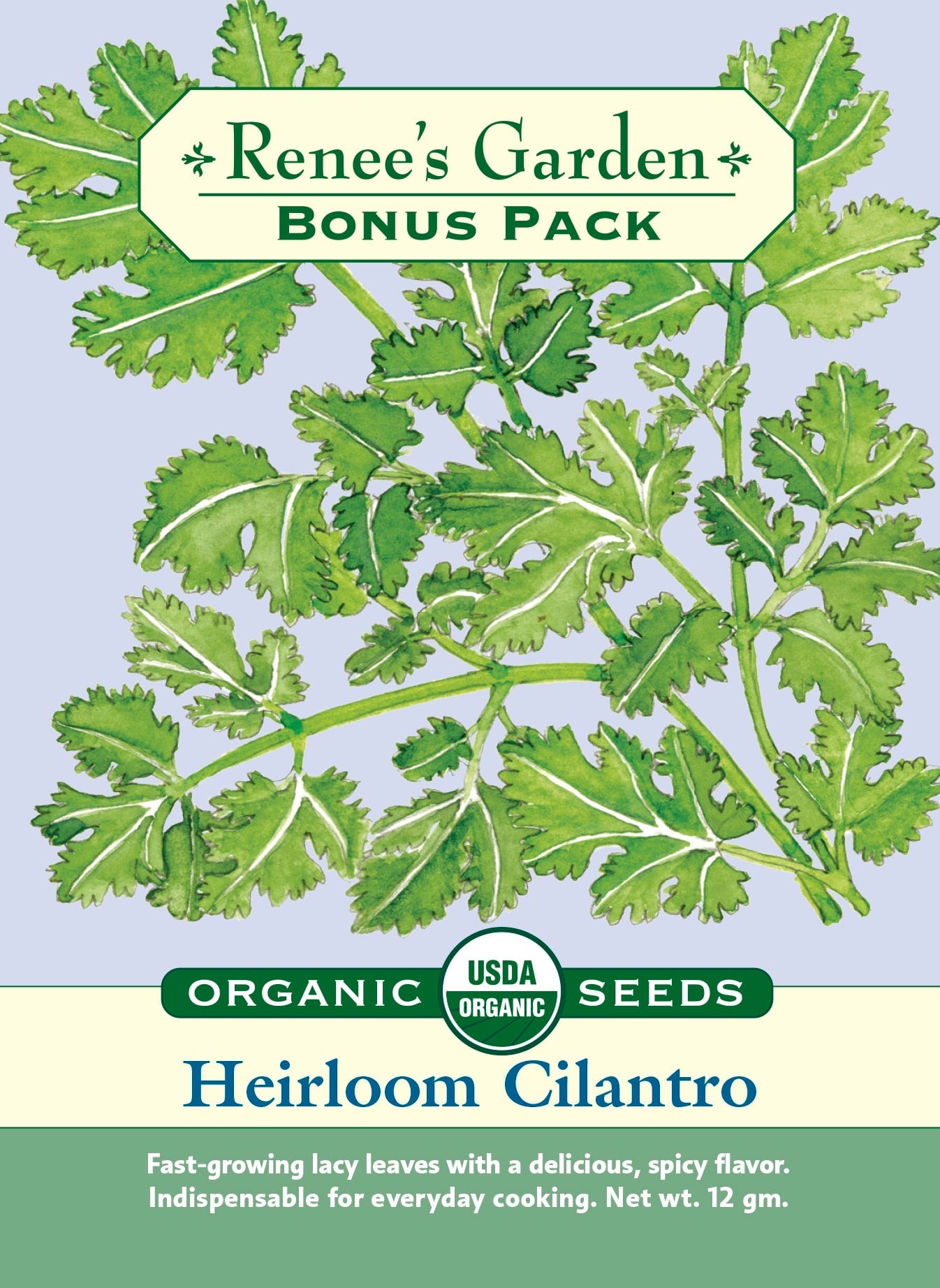 100 Cilantro Coriander Fiesta Green Seeds – Culinary Herb 100 Cilantro Coriander Fiesta Green Seeds – Culinary Herb