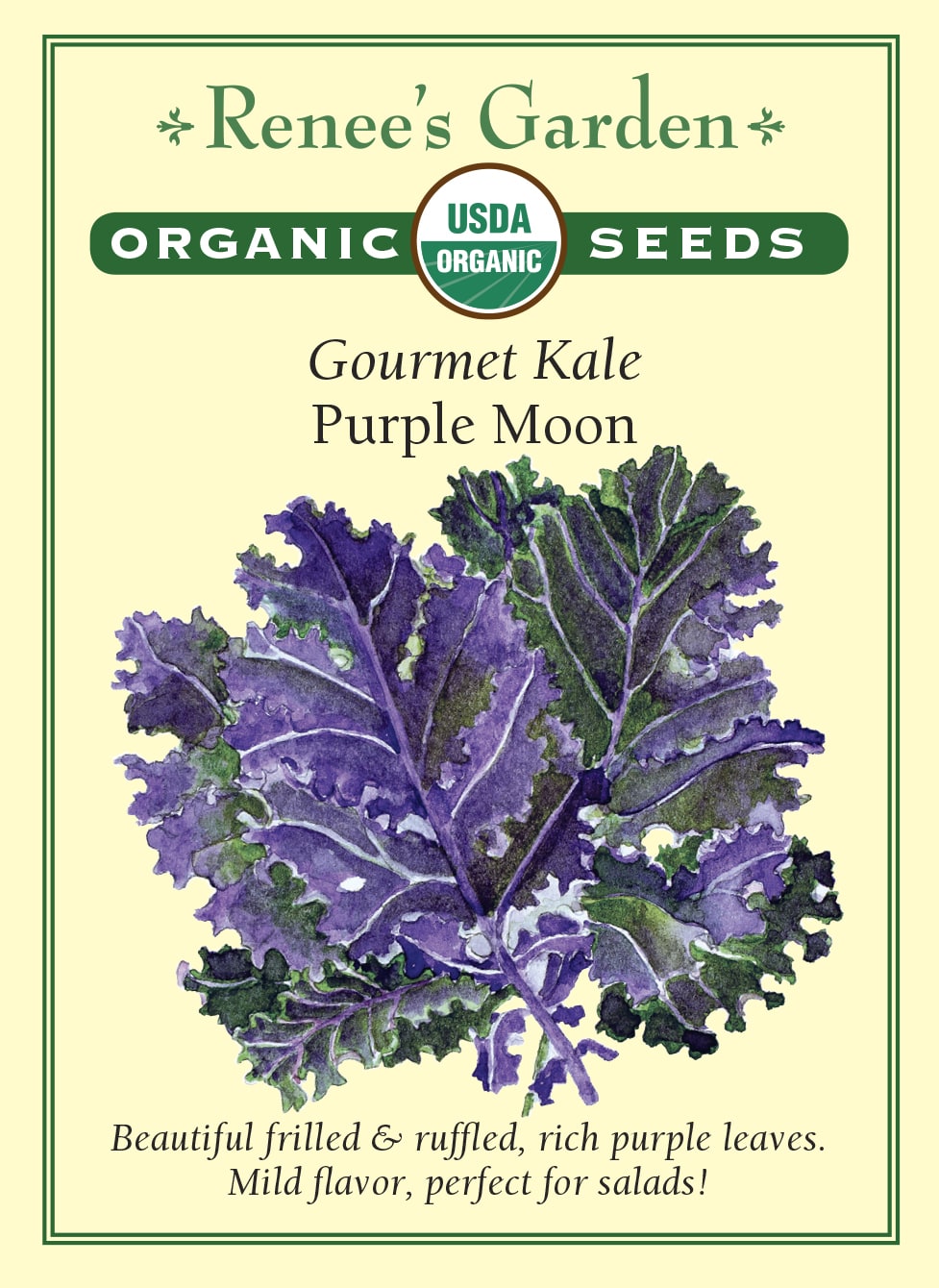 purple garden seeds 'Purple Moon' Organic Gourmet Kale