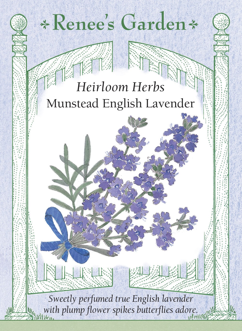 munstead english lavender seeds Munstead English Lavender