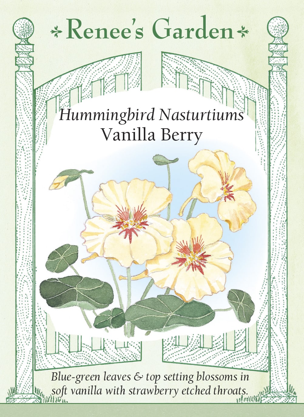 plant world seeds coupon Nasturtium Vanilla Berry