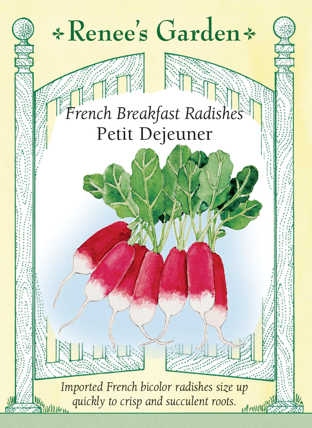 Petit Dejeuner