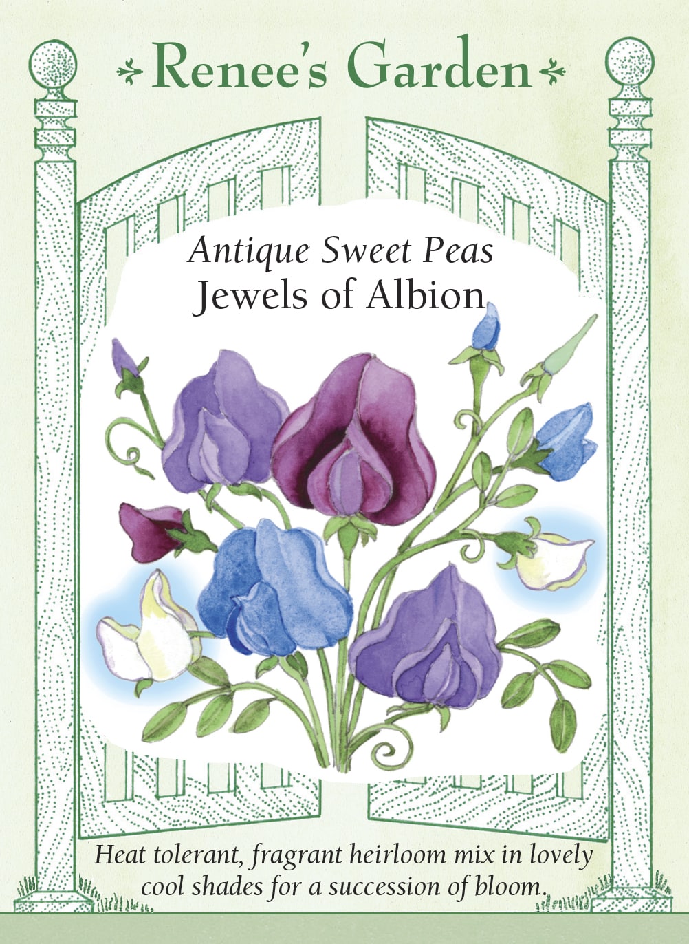 sweet peas flower seeds Renee's Garden Antique Sweet Peas Jewels of Albion Seeds