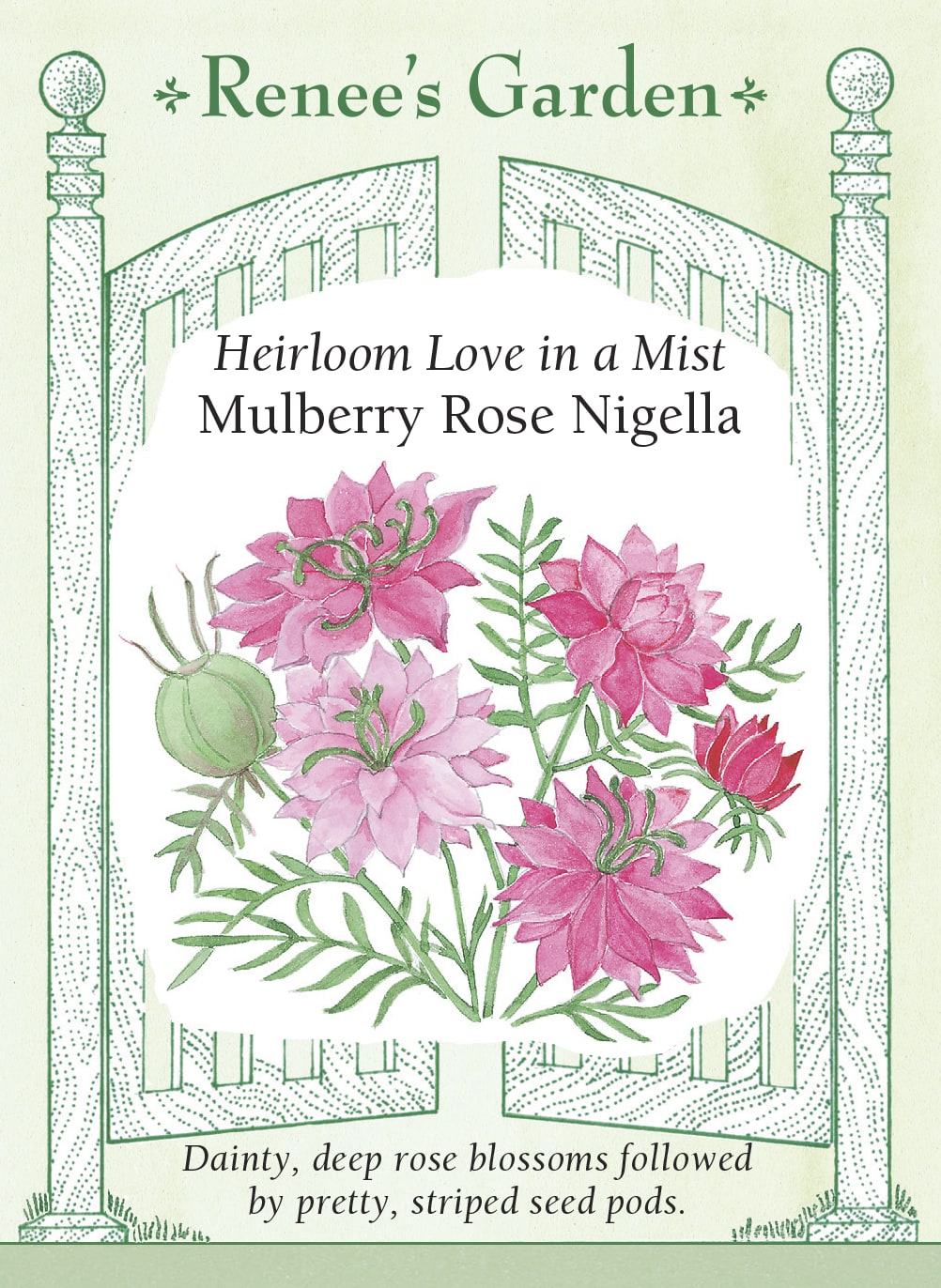 book the seed inside the rose Renee's Garden Love in a Mist Mulberry Rose Nigella Seeds