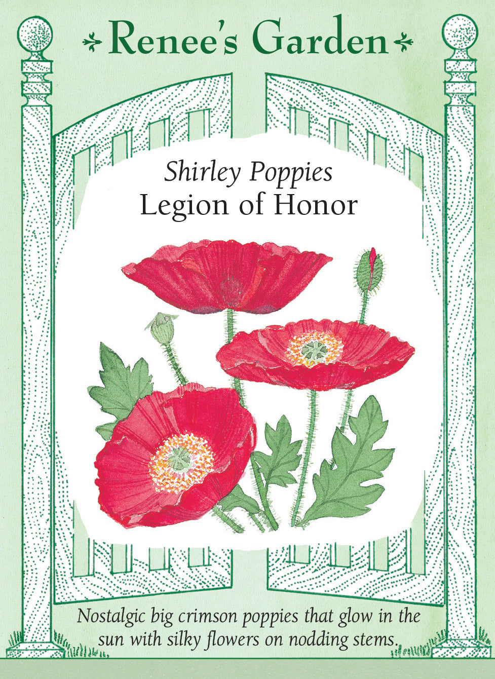 Legion of Honor' Heirloom Crimson Poppies – Renee's Garden