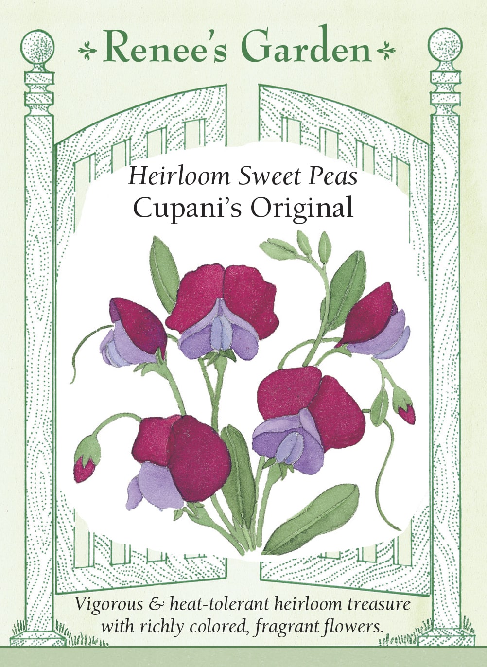 renee's garden sweet pea seeds Renee's Garden 'Cupani's Original' Heirloom Sweet Pea Seed