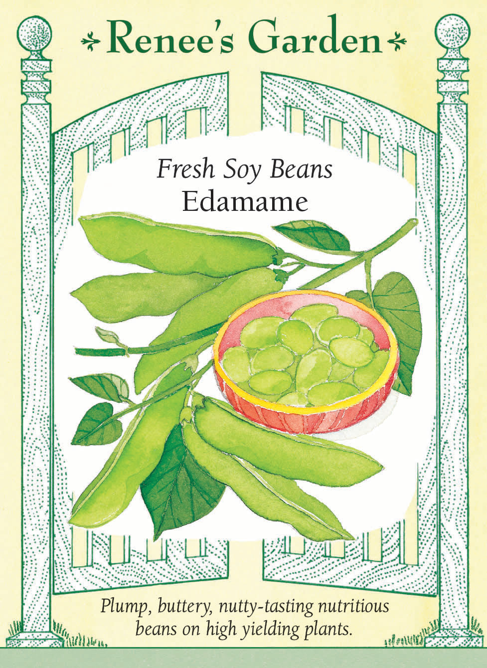 edamame plant seeds 'Edamame' Fresh Soy Beans