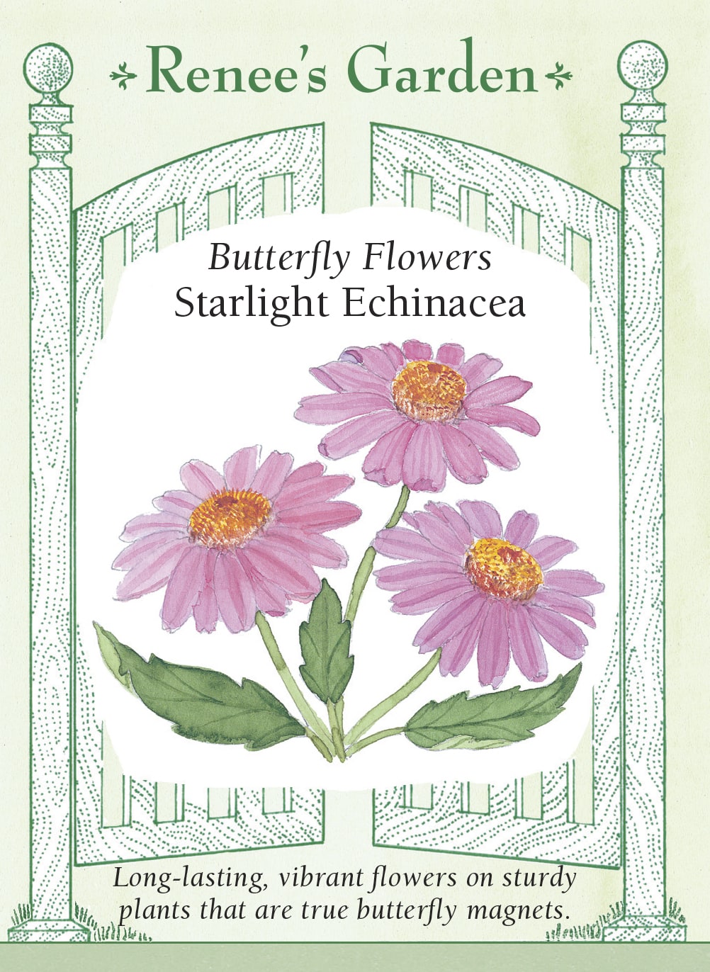 Hand-Picked Seed Bundle - Save the Bees