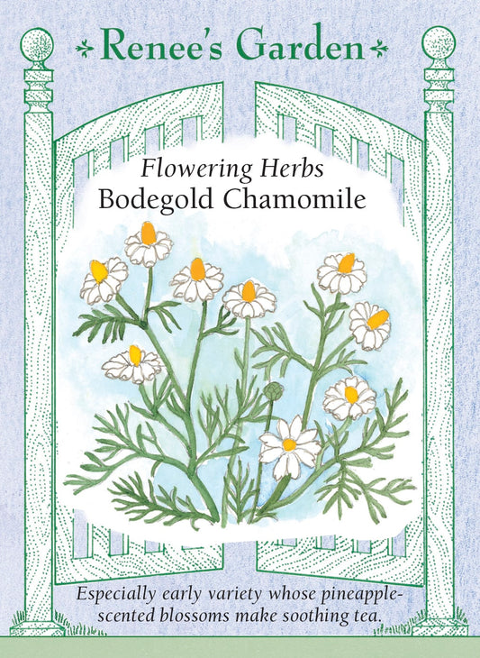 Bodegold Chamomile