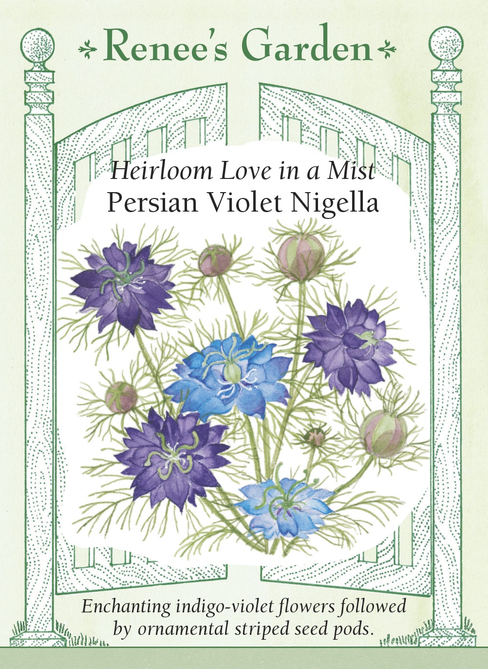 love in a mist persian jewels flower seeds Renee's Garden 'Persian Violet Nigella' Love in a Mist Seed