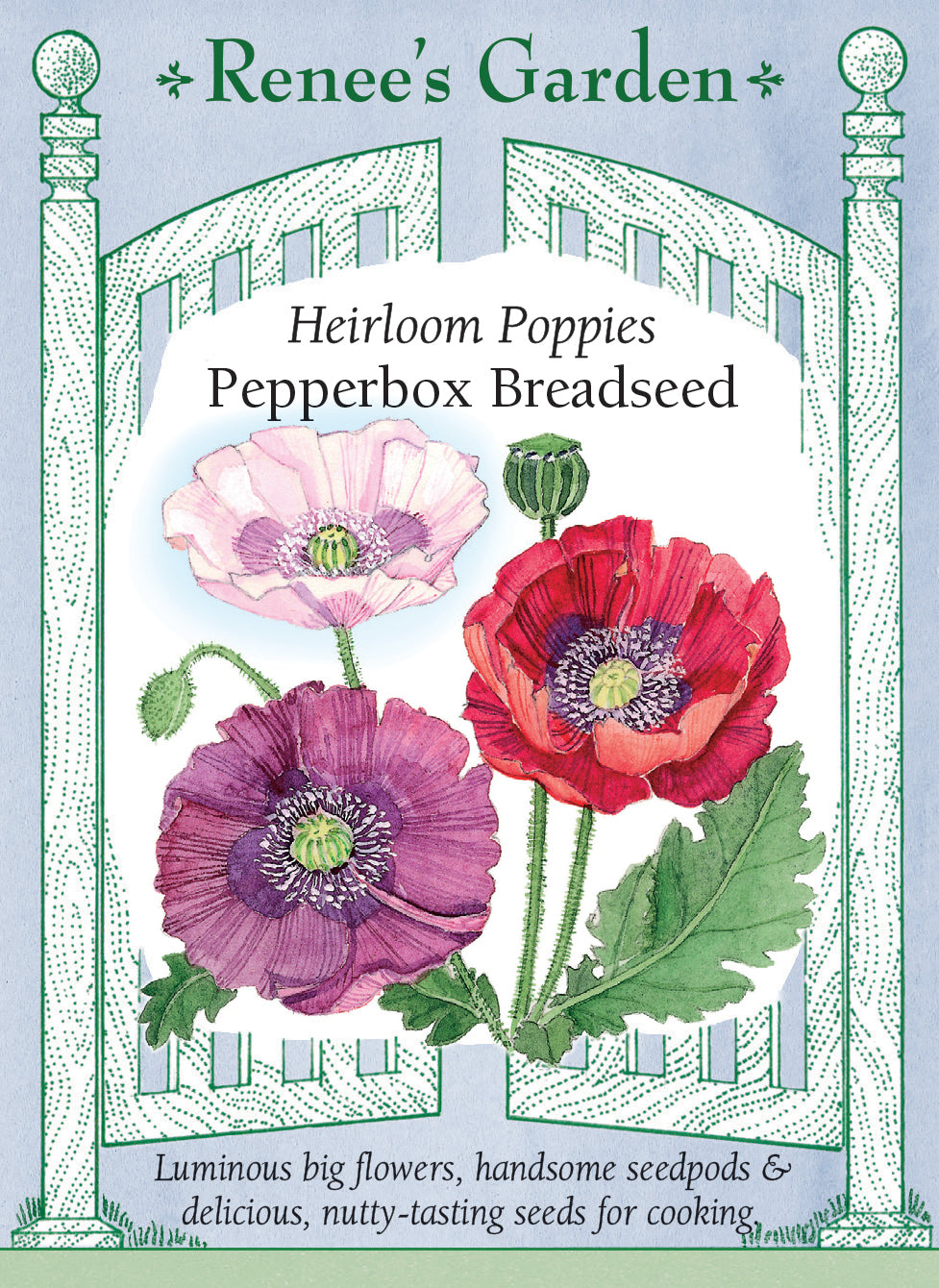 poppy seeds flower Poppy Pepperbox