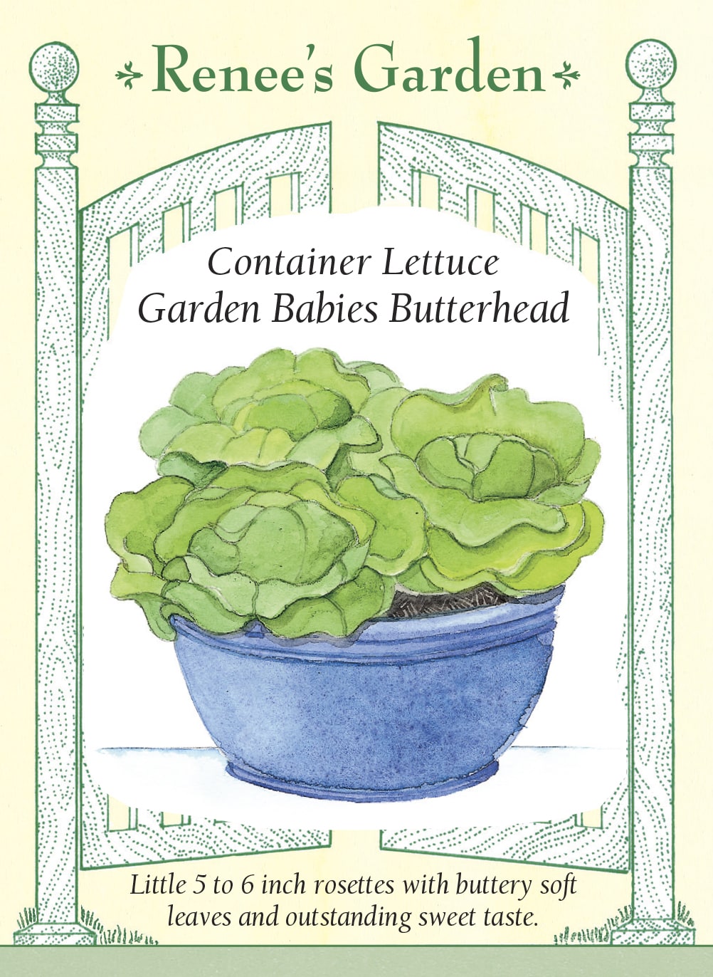 'Garden Babies Butterhead' Container Lettuce 'Garden Babies Butterhead' Container Lettuce