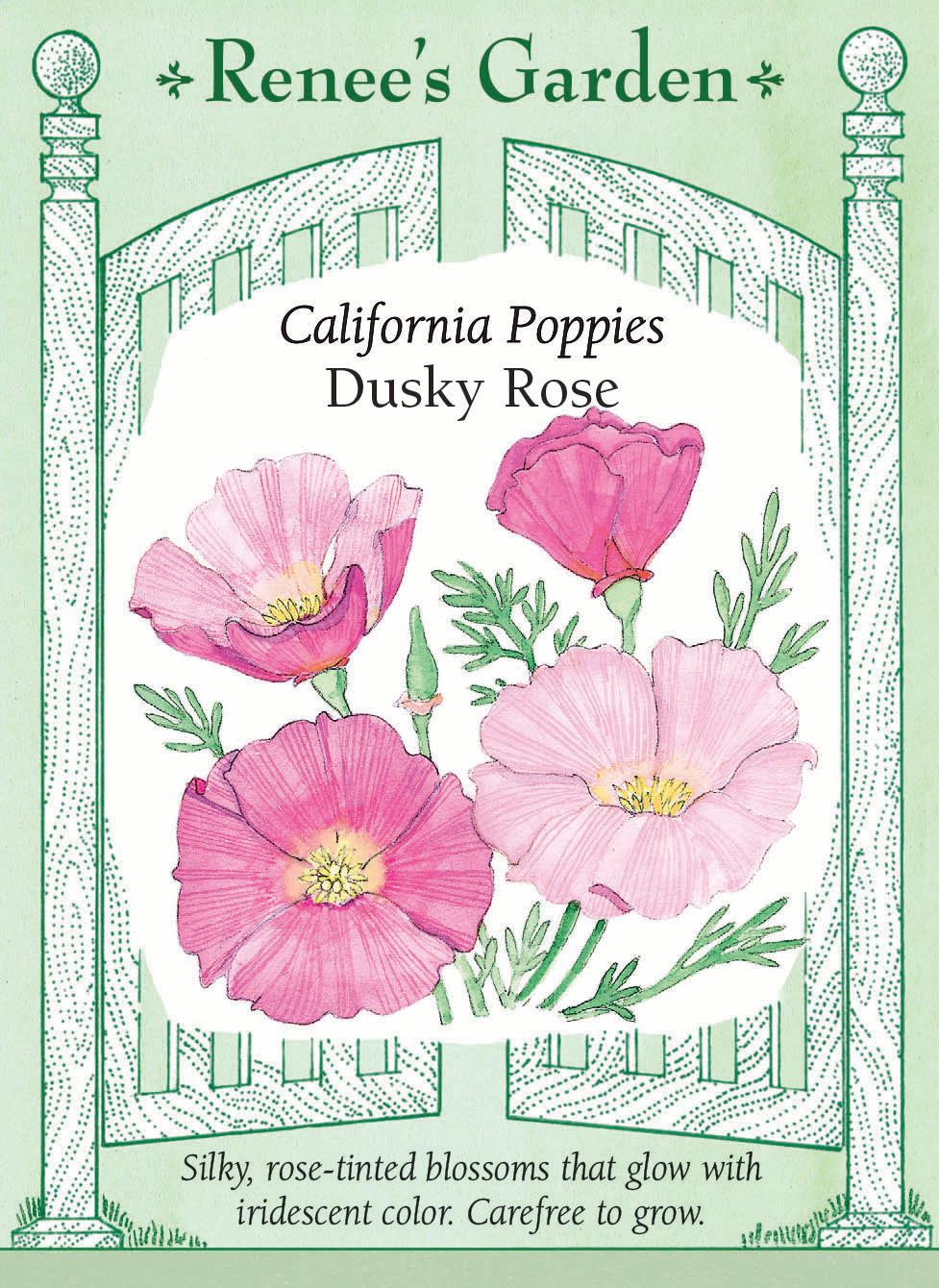 garden rose seeds Renee's Garden California Poppies Dusky Rose Seeds