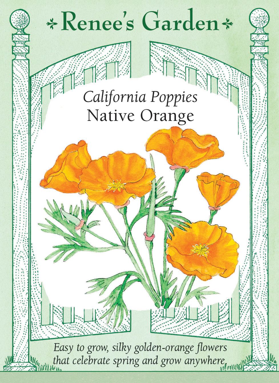 native california flower seeds 'Native Orange' California Poppies