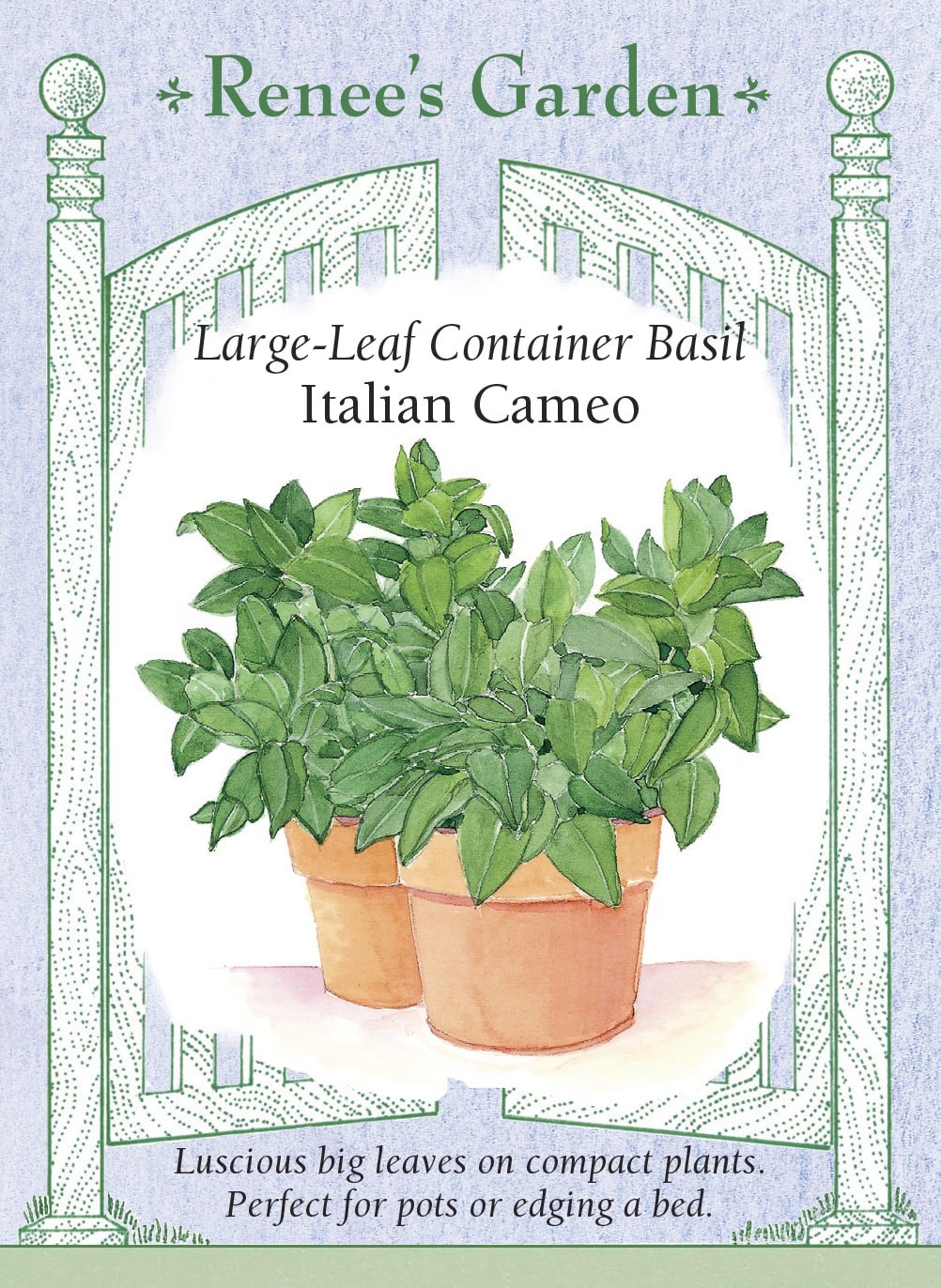 italian pot plants Renee's Garden Large-Leaf Container Basil Italian Cameo Seeds