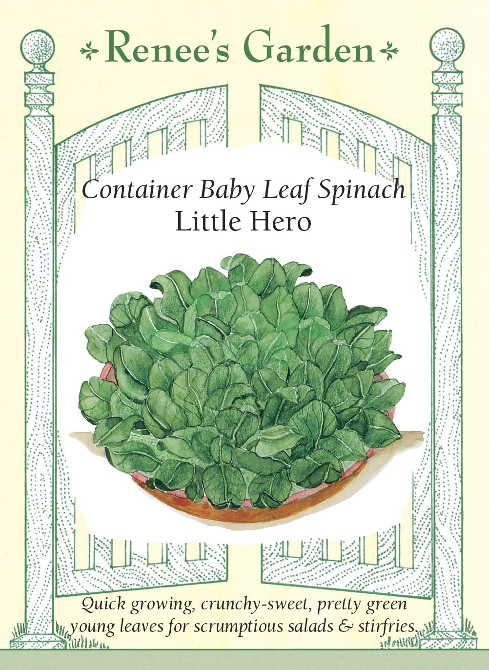 bunnings strawberry seeds Spinach Little Hero