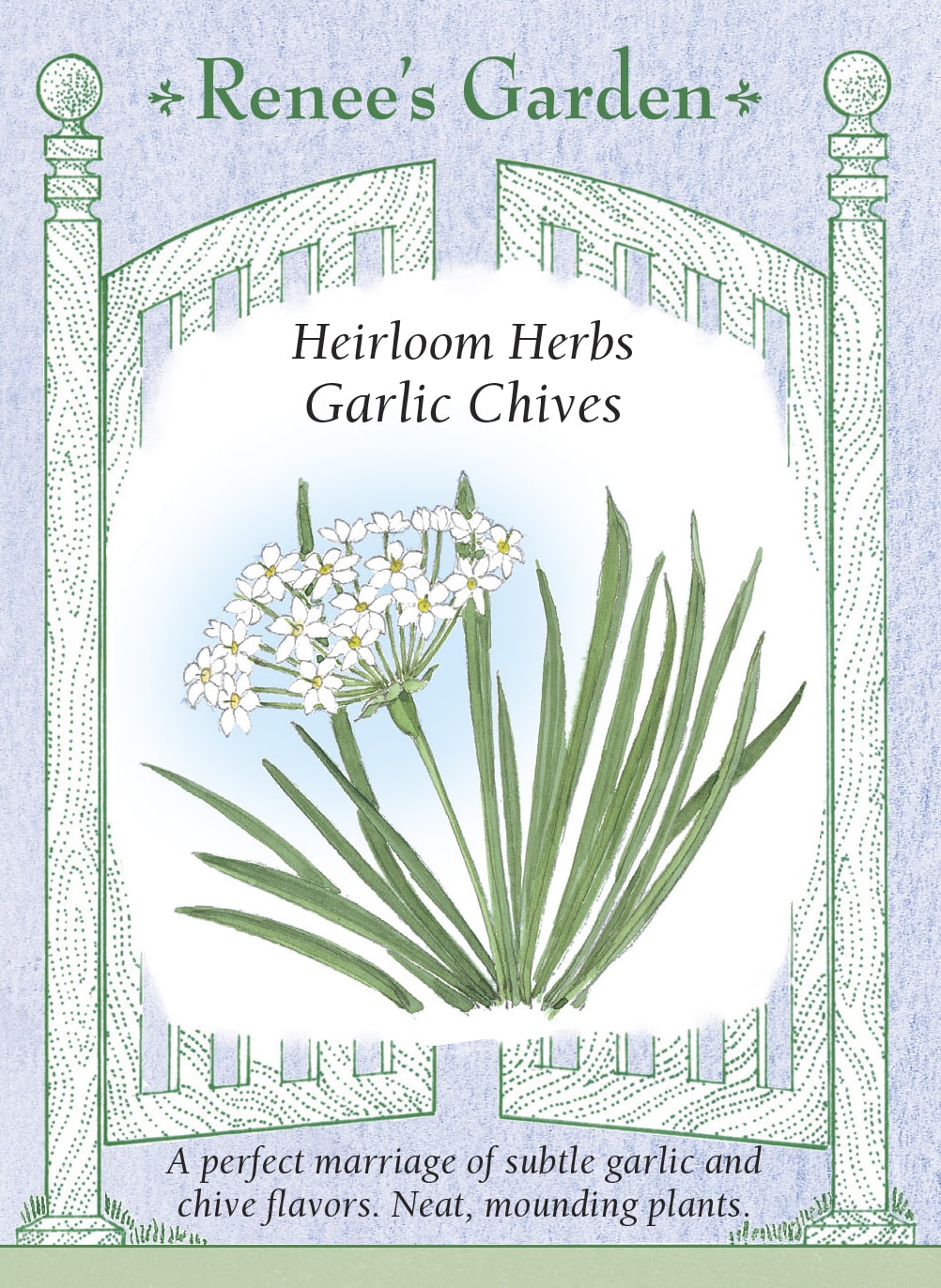 planting garlic chives from seed Garlic Chives' Heirloom Herbs – Renee's Garden