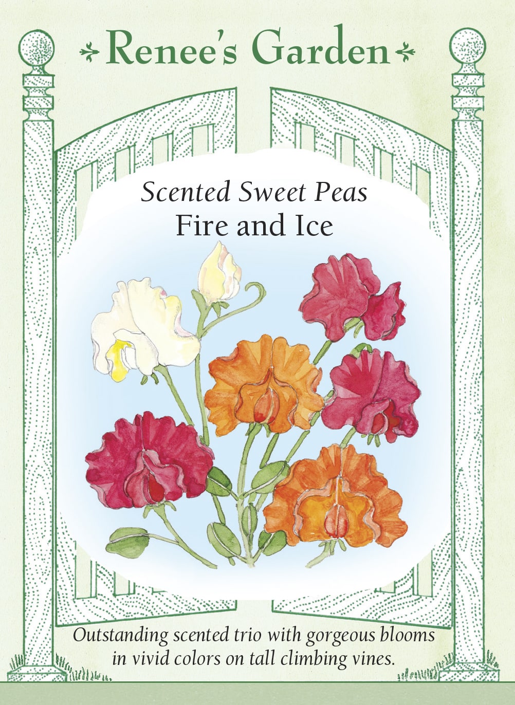 renee's garden sweet pea seeds Renee's Garden Scented Sweet Peas Fire and Ice Seeds