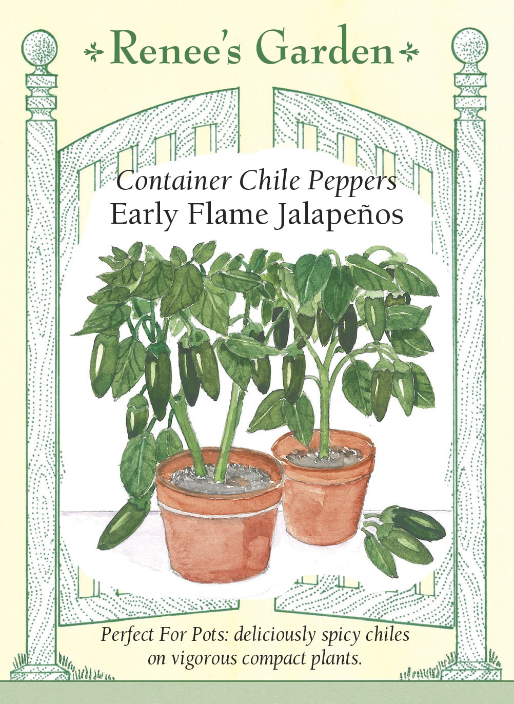 best potting mix for jalapenos Renee's Garden Container Chile Peppers Early Flame Jalapeños Seeds