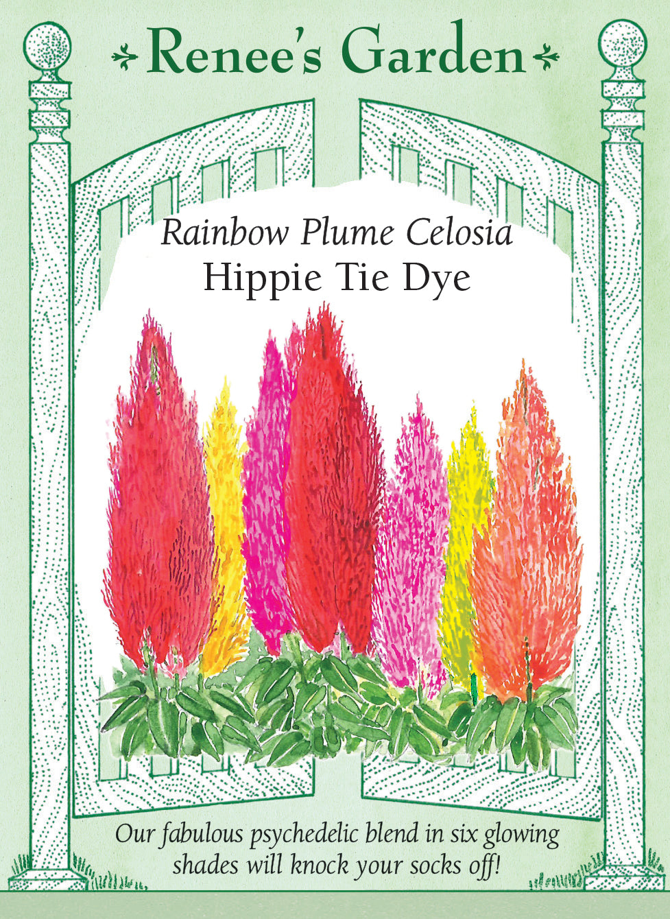 tie dye rose seeds Renee's Garden Rainbow Plume Celosia Hippie Tie Dye Seeds