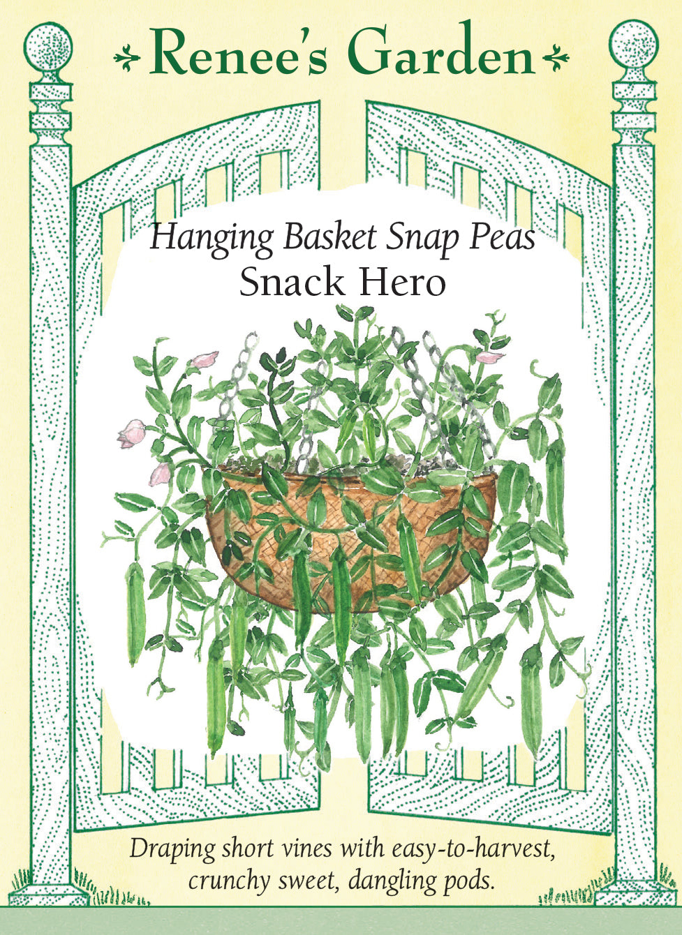 'Snack Hero' Hanging Basket Snap Peas