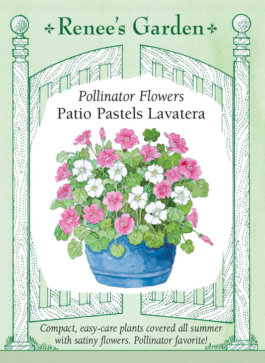 Patio Pastels Lavatera