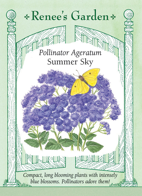 summer flower seed Pollinator Ageratum