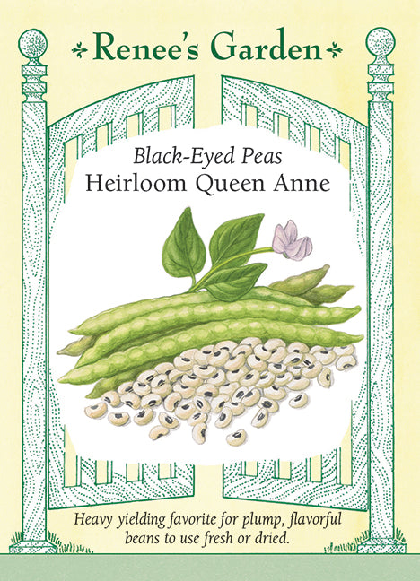 Heirloom Queen Anne