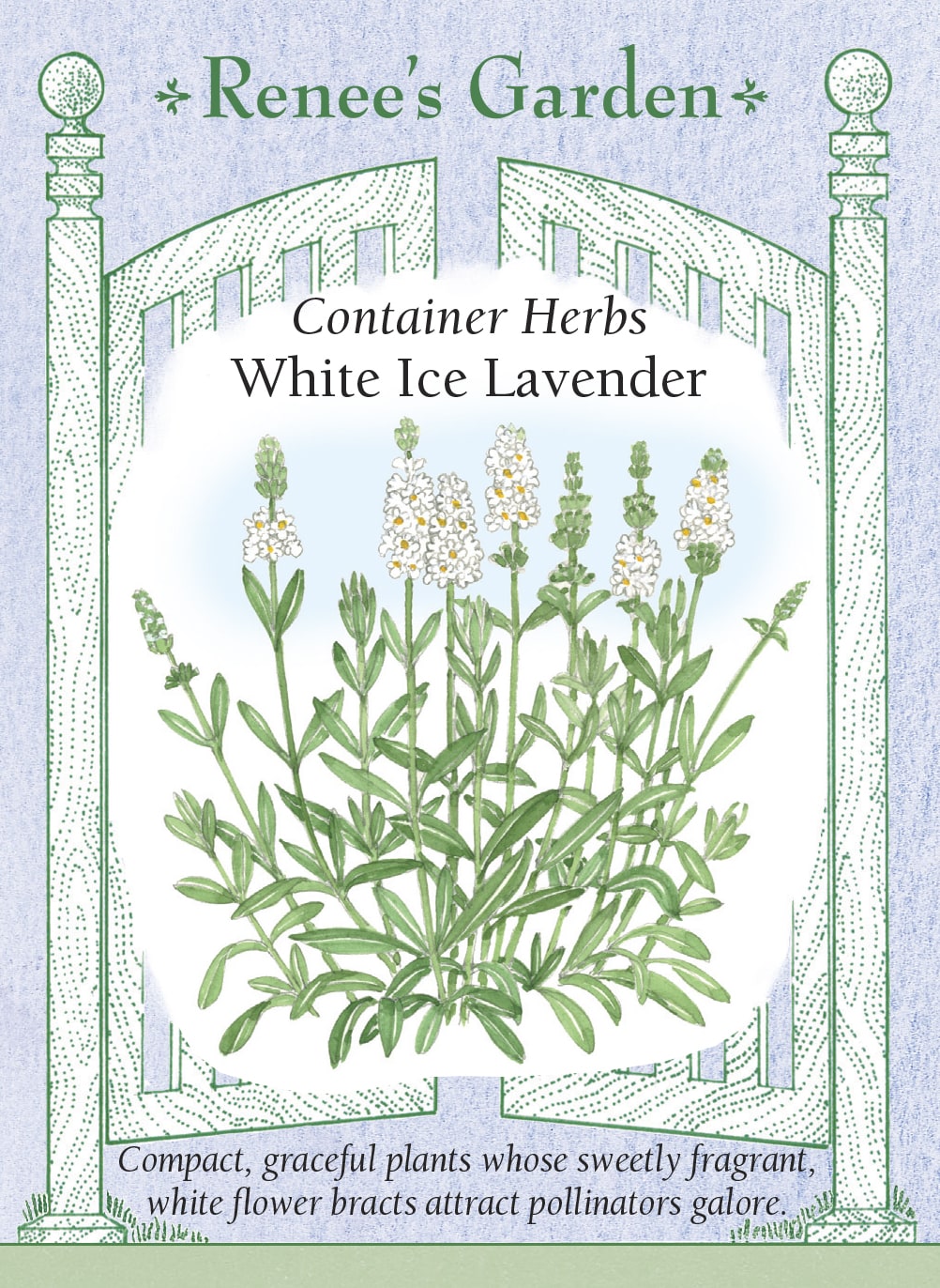white lavender seeds Renee's Garden Container Herbs White Ice Lavender Seeds
