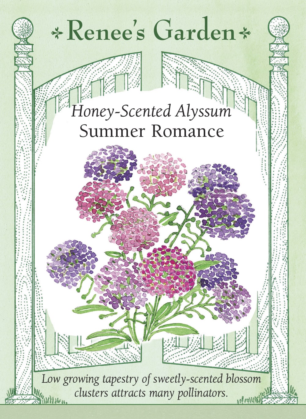 seed inside the rose book Renee's Garden Honey-Scented Alyssum Summer Romance