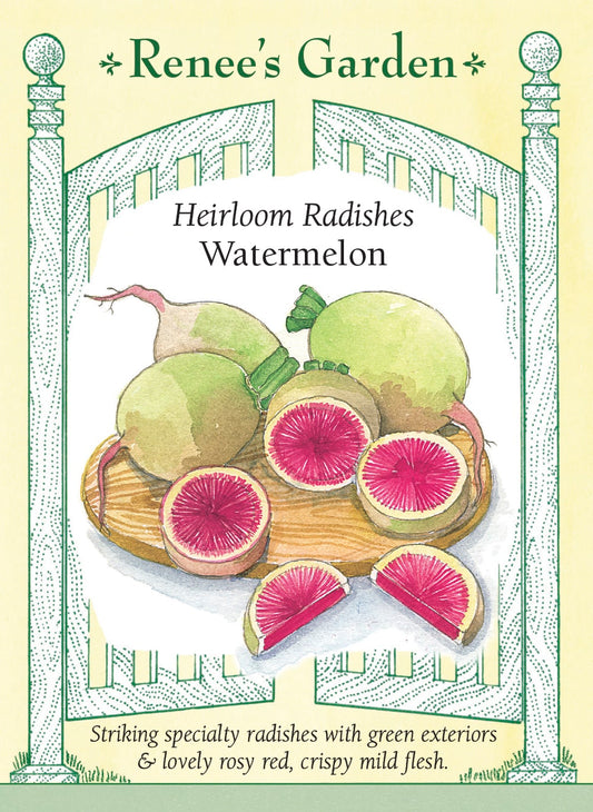 Watermelon
