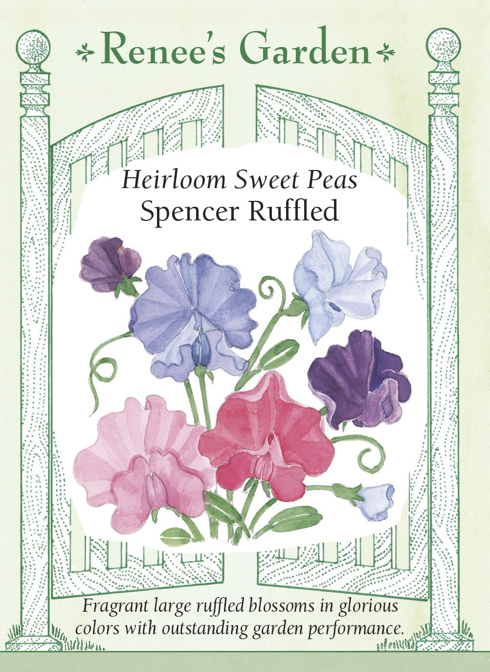 renee's garden sweet pea seeds Renee's Garden Heirloom Sweet Peas Spencer Ruffled Seeds