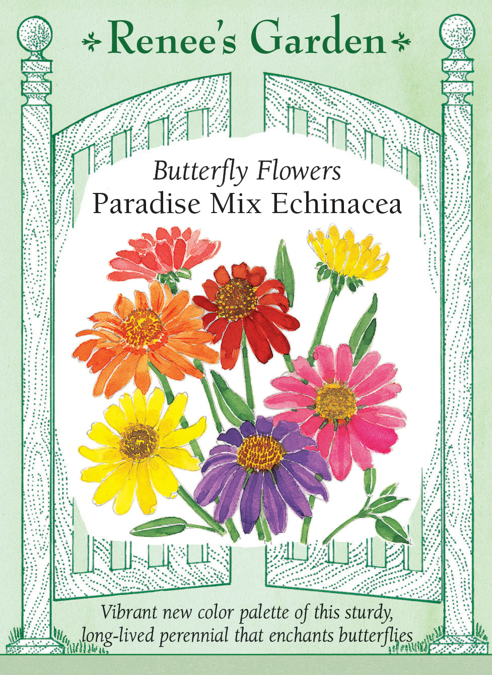 Paradise Mix Echinacea' Butterfly Flowers – Renee's Garden