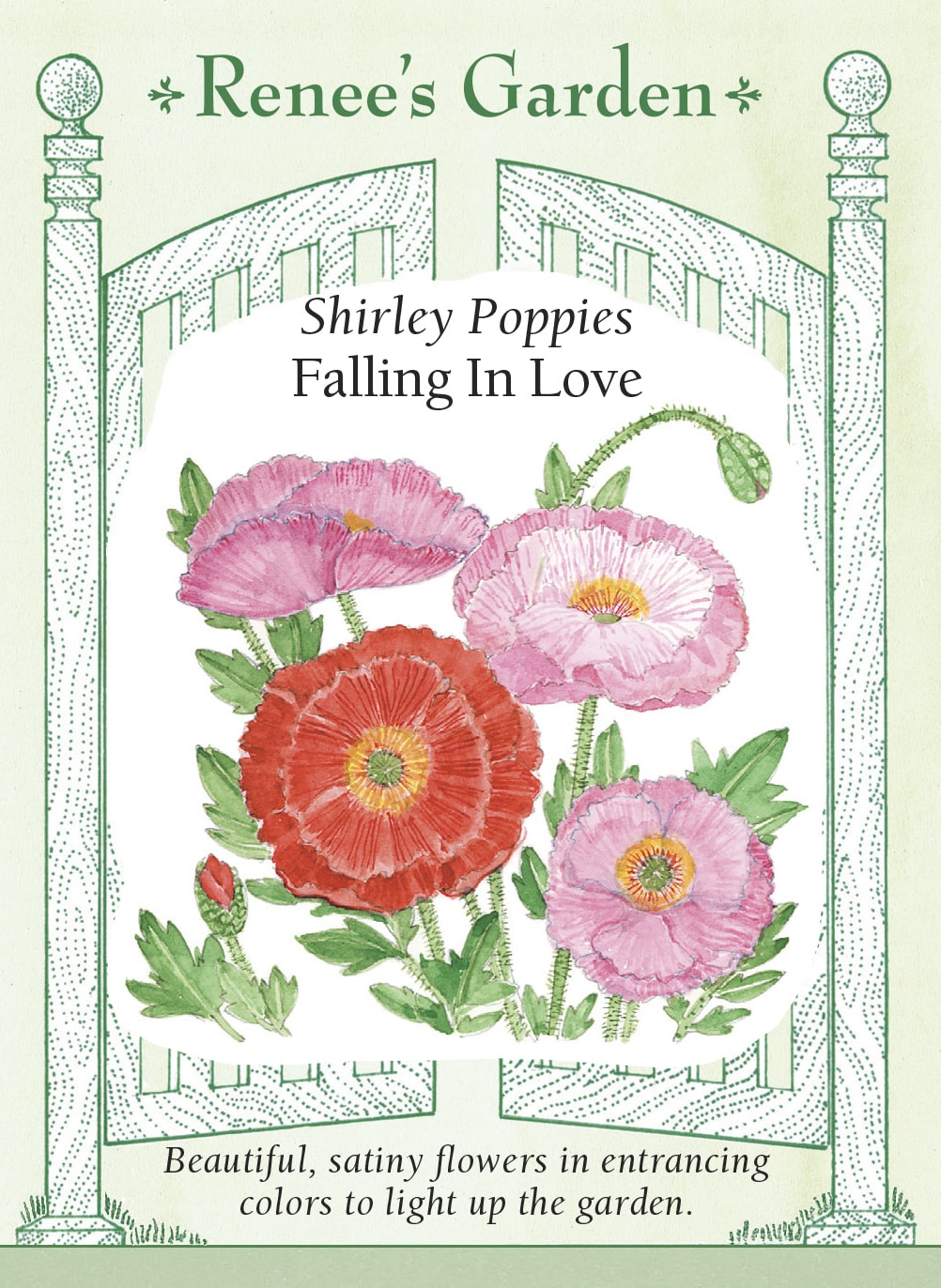 poppy seed flower Renee's Garden Shirley Poppies Falling In Love Seeds